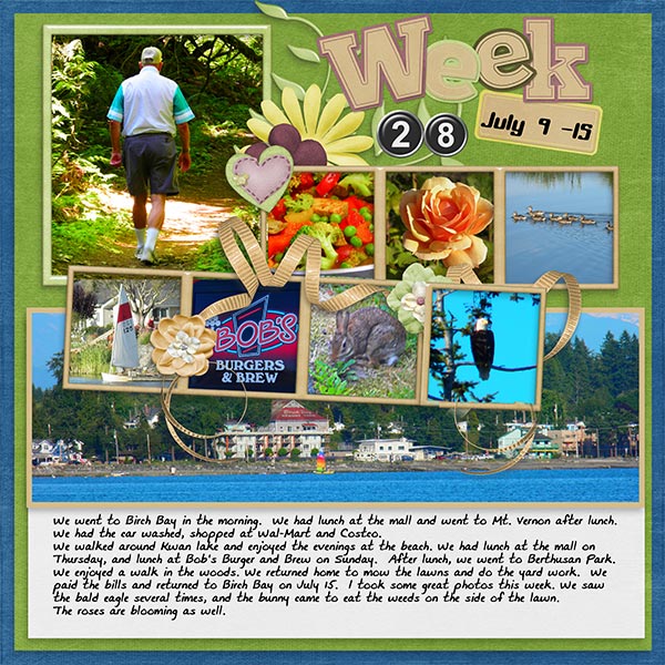 2013_Week_28