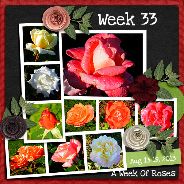 2013_Week_33