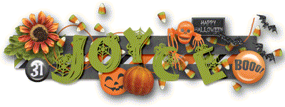 2014-10_Siggy