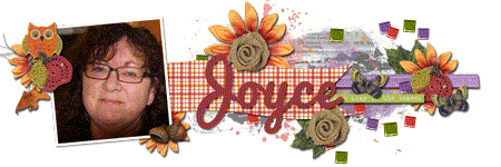2014-11_Siggy