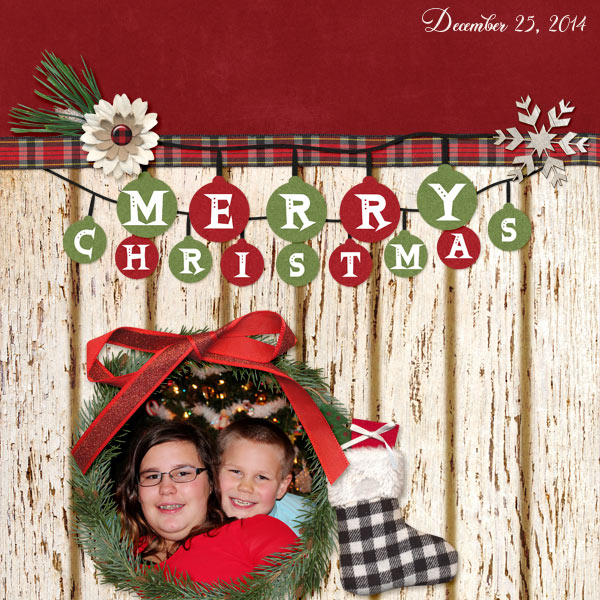 2014 Christmas Picture