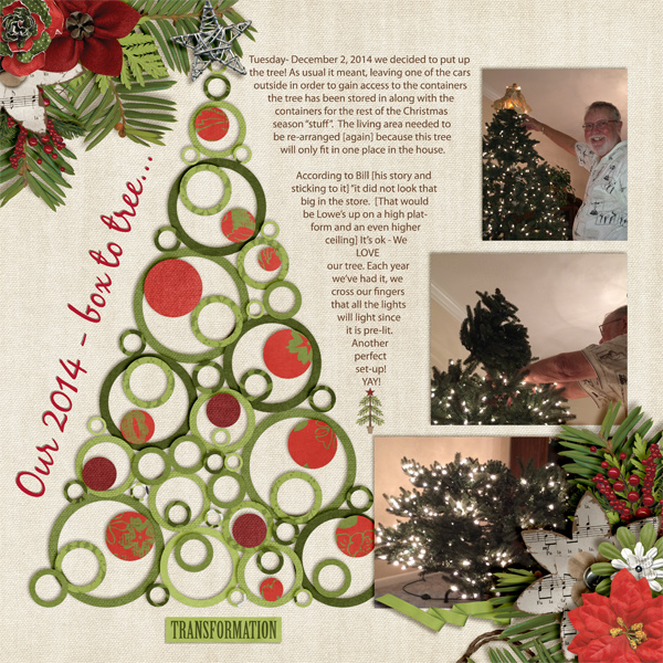 2014 from box to tree transformation