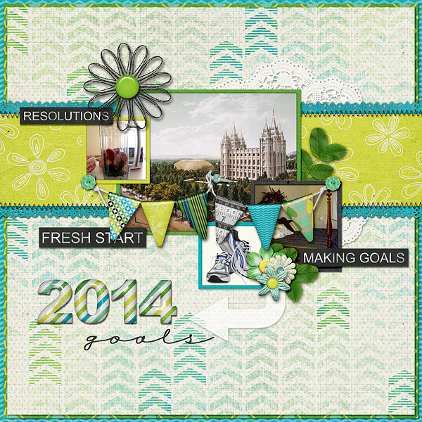 2014 Goals