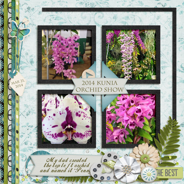 2014 Kunia Orchid Show