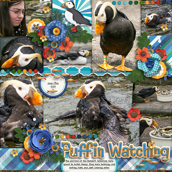 2014 Newport Aquarium Puffins