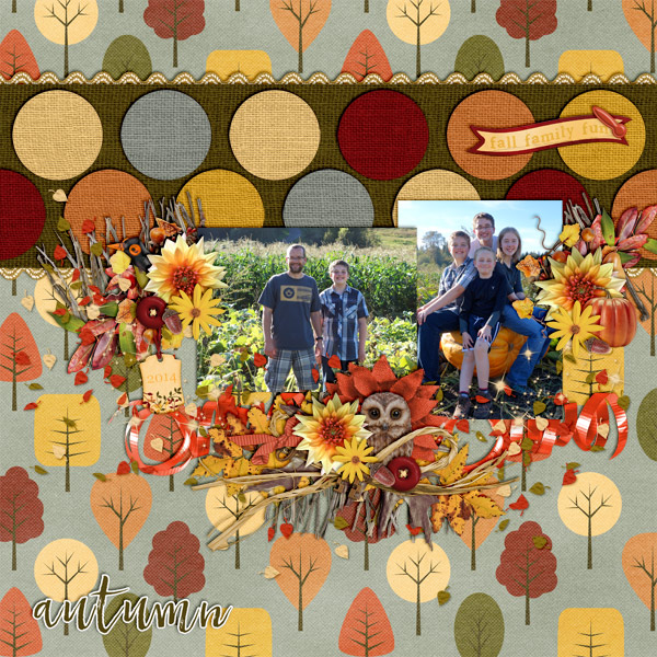 2014 pumpkin patch