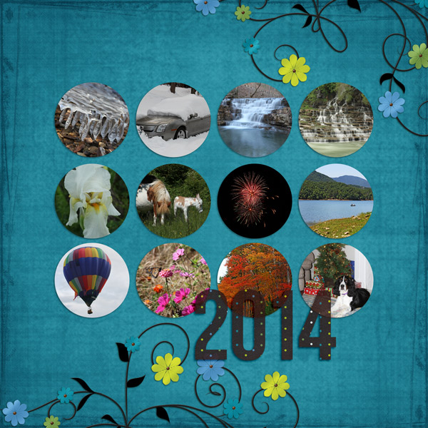 2014 Review