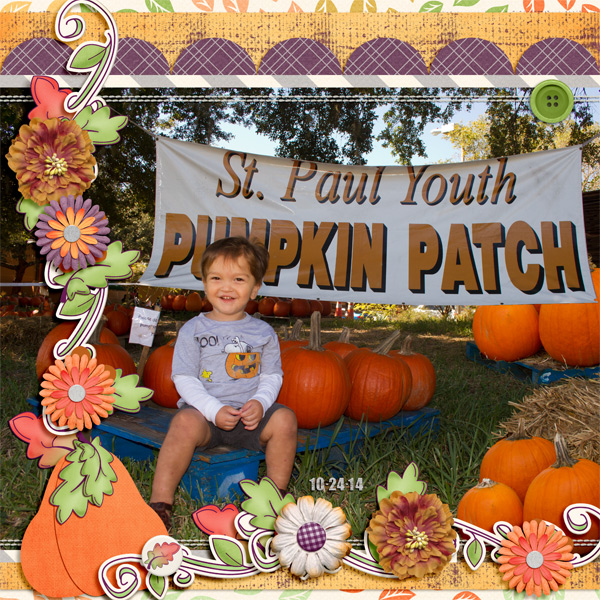 2014 St. Paul Pumpkin Patch