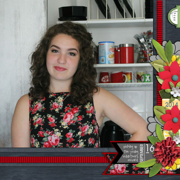 2014: Young Volunteers Award-