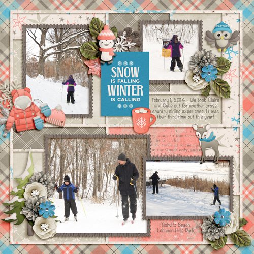 20140201 Cross Country Skiing