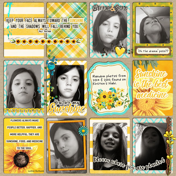 2014_2015_Sunflower