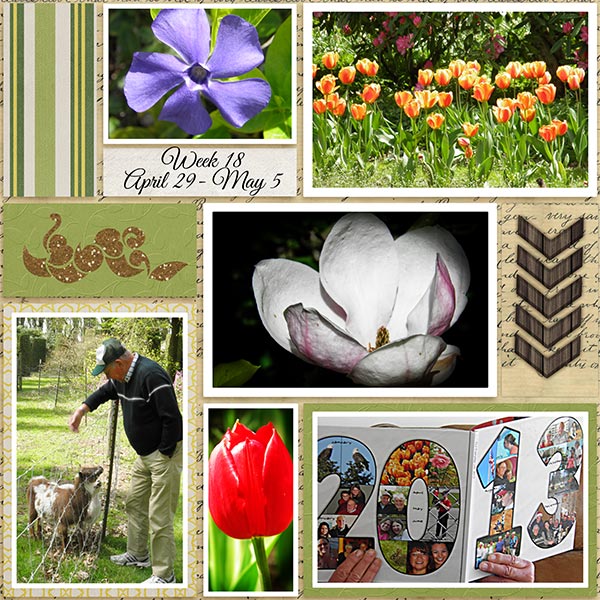 2014_week18