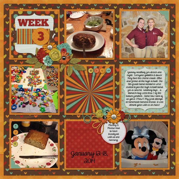 2014_week3_jan_12-18_right_web