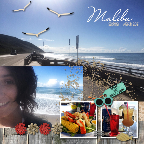 2015 03 02 Malibu