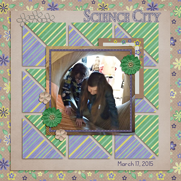 2015-03 buffet Science City