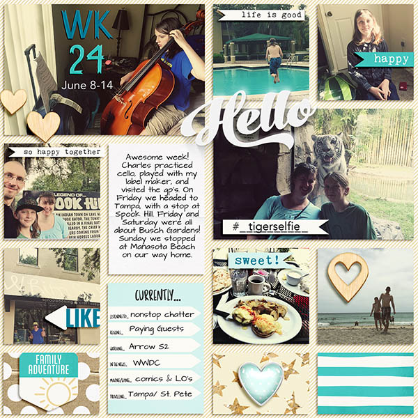 2015-06-08_week_24_web