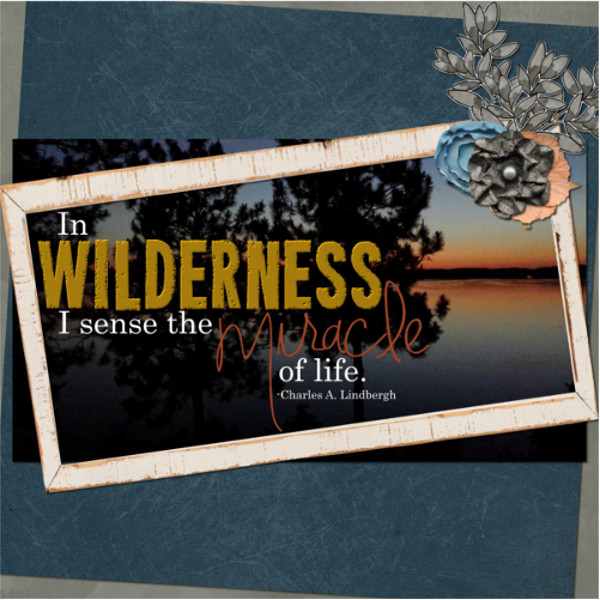 2015-06-12_Madden_sWildernessQuote