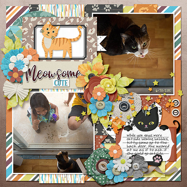 2015-06-30-meowsomecute_sm
