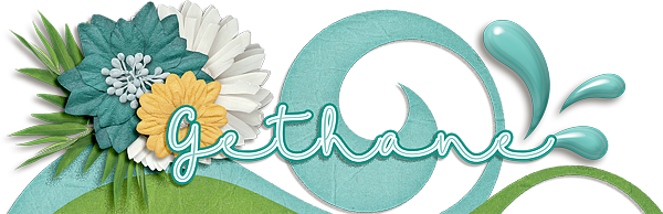 2015-07 siggy