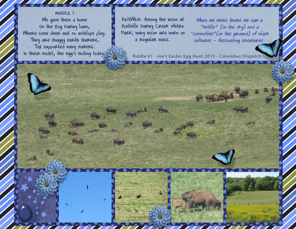 2015 #1 - Battelle Darby Creek Metro Park Bison