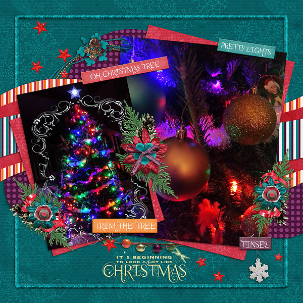 2015-11 designer spotlight