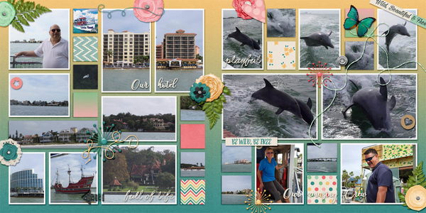2015-12-24 Dolphins1-2 GiveMeAllThePhotos_Vol4-1