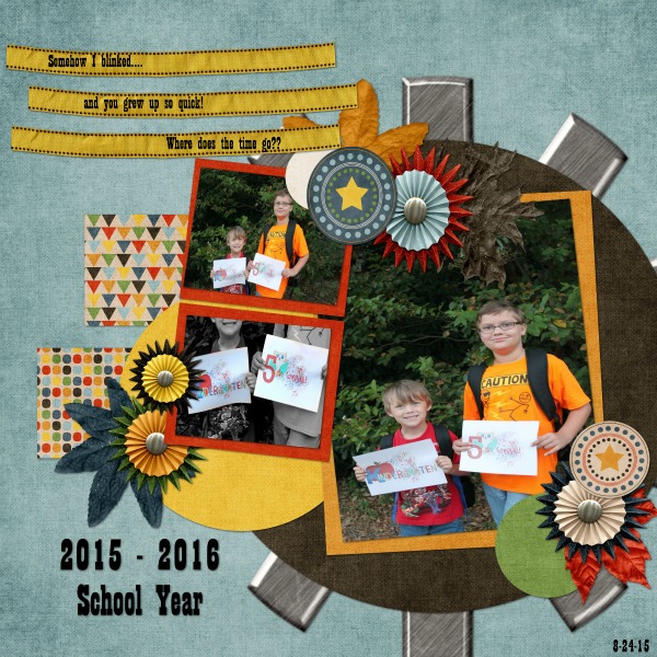 2015-16 School Year