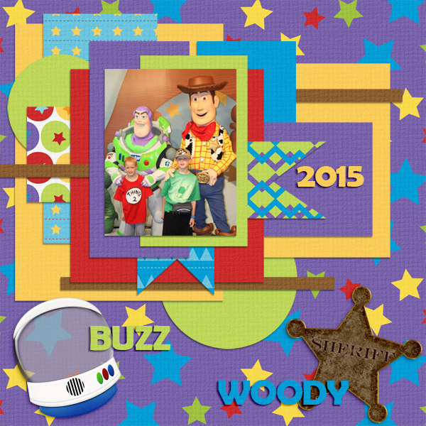 2015 Both Buzz Woody