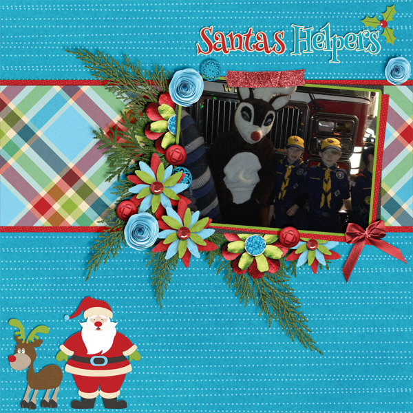2015 Boy Scouts
