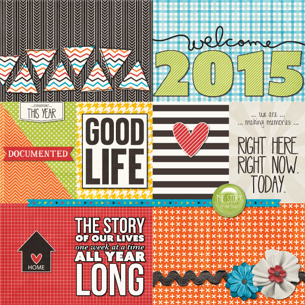2015 cover