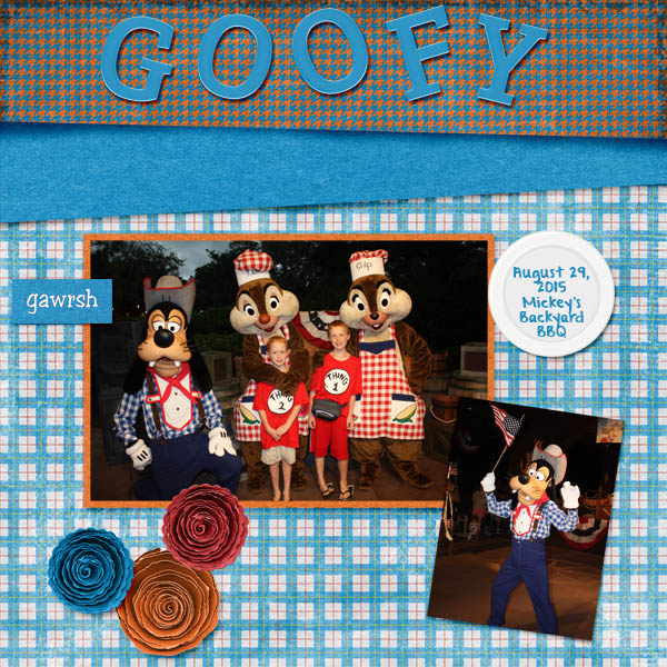 2015 Goofy BBQ