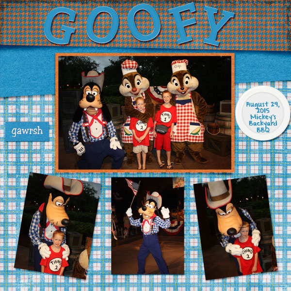 2015 Goofy BBQ