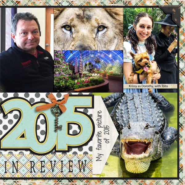 2015 in Review - right side