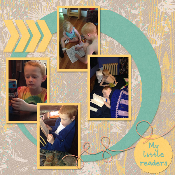 2015 My Readers