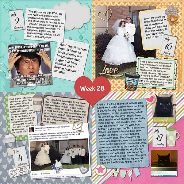 2015 P52 Week 28, page 1