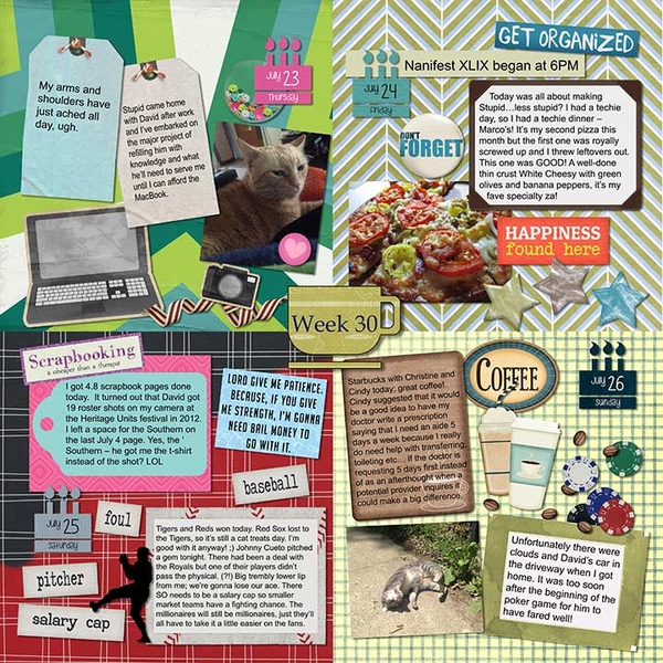 2015 P52 Week 30, page 1