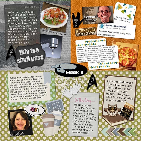 2015 P52 Week 9 Page 1