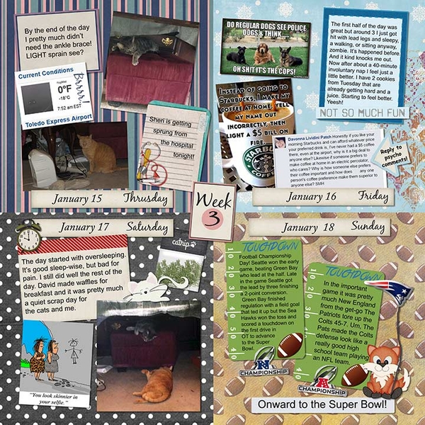 2015 P52 Week Three Page 1