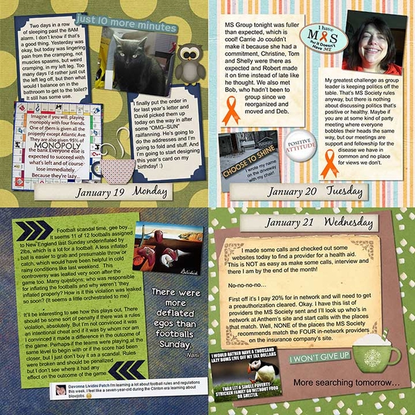 2015 P52 Week Three Page 2