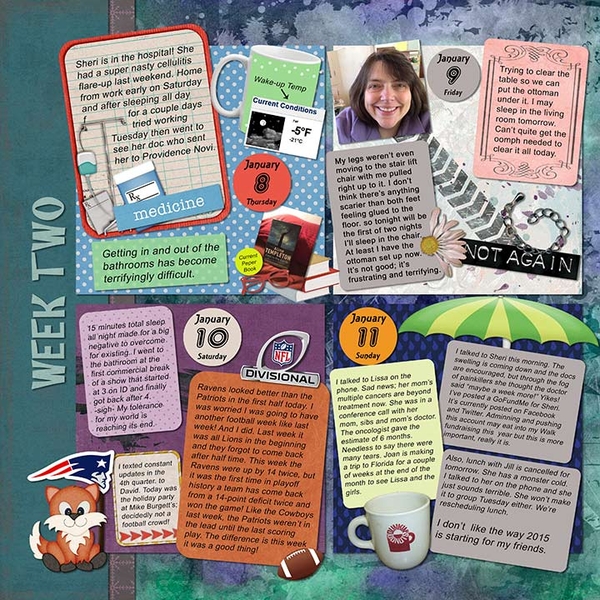 2015 P52 Week Two, page 1