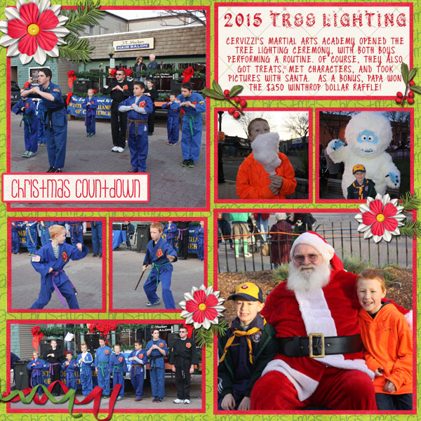 2015 Tree Lighting
