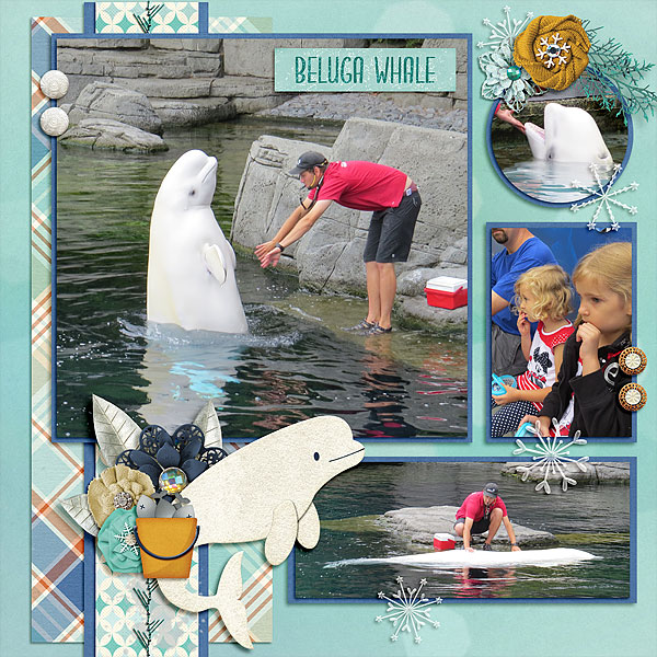 2015 Vancouver Aquarium 2