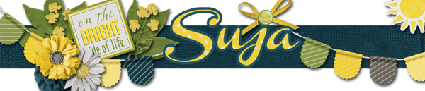 201507 Siggy