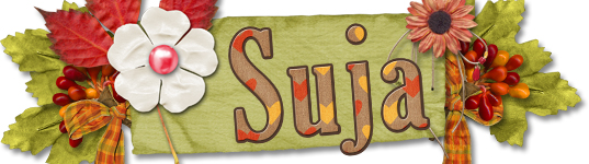 201509 Siggy