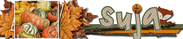 201511 Siggy