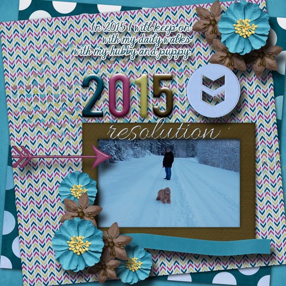 2015_resolution