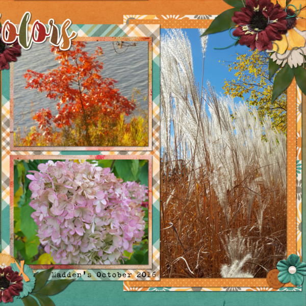 2016-10-22 Madden's Inspiration + MixItUp Challenge