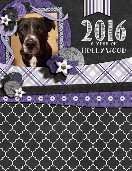2016 A Year of Hollywood