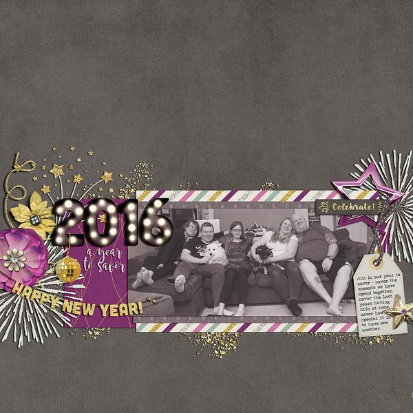 ~2016 A Year to Savor~