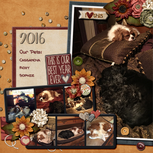 2016 Best Pets